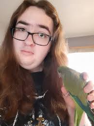 Hold birb gently like lasagna