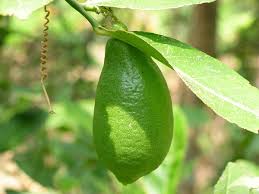 Quanta honra, em 2019 vamos nos ofender muito até la e feliz fedadas com o visage. à´'à´Ÿ à´š à´š à´• à´¤ à´¤ à´¨ à´°à´• à´µ à´• à´• à´ª à´¡ à´¯