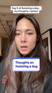 Fostering is a really rewarding experience, but can also be very  overwhelming if you dont go in prepared! These are my tips #foryou #fyp  #fosterdogsoftiktok #fosterdog #fosterdogs #pettok #pettiktok