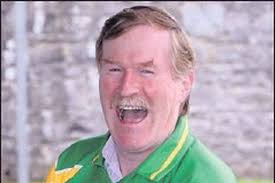 Rejoin sterling, urges Fianna Fail councillor