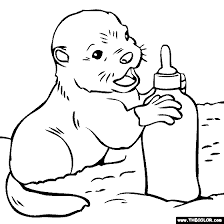 When babies can see color varies from child to child. Baby Otter Coloring Page