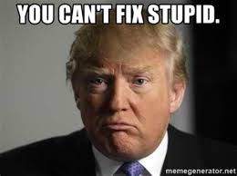 You Can T Fix Stupid Memes