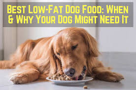 See more of fat dogs on facebook. Low Fat Dog Food The Benefits Side Effects Therapy Pet