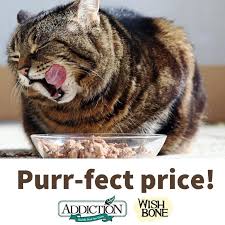 Puzzle feeders come in a variety of shapes and sizes, but they all operate in a similar way: Best Price Guarantee On Addiction Wishbone Cat Food From Nz Pet Supplies Homes Other Pet Accessories On Carousell