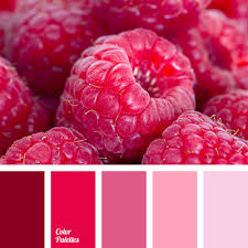 Hot pink is a color. Hot Pink Color Palette Ideas