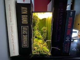 A Book Shelf Insert Handmade By Myself Place The Insert On Your Bookshelf And See Your Own Small World Along With All The In 2020 Book Nooks Bookshelf Art Bookshelves