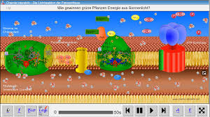 Met behulp van de chemische energie uit het voedsel is de cel in staat om uit adp weer atp te produceren. Www Chemie Interaktiv Net Online Animationen Fur Den Chemieunterricht Und Biologieunterricht