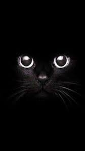 Hd Whatsapp Wallpapers Black Cat Staring Eyes Wallpaper Fondosdepantalla Whatsapp Animal Animal Wallpaper Cat Art Cat Wallpaper