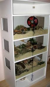 Near Natural Enclosure Hamster A Pax For Dinis Hamster Gehege Hamster Kleintierkafig