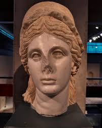 Marian Todd (@mjostodd) • Instagram photos and videos