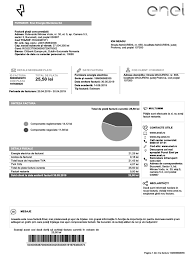 Scopri il costo dell'energia elettrica in italia: Furnizor Enel Energie Muntenia Sa