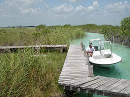 First, it should be understood that sian ka'an biosphere reserve is a massive area, sprawling across 5,280 km 2 (2,039 sq mi). Sian Ka An Wikipedia
