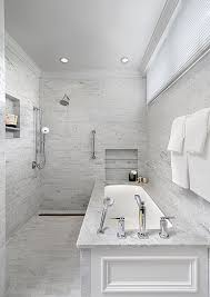 Bathroom Remodel Chicago Gold Coast Bathroom Shower Design Bathrooms Remodel Accessible Bathroom Design