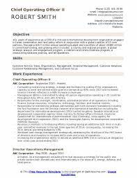 Job description for investment manager. Chief Operating Officer Resume Samples Qwikresume
