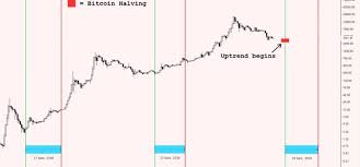 impact of bitcoin halving on price massmux com