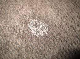 Removing Silly Putty From Upholstered Furniture Thriftyfun