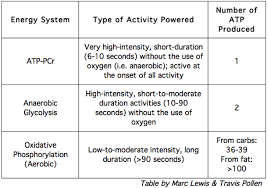 Image Result For Metabolic Energy Systems Comparison Chart