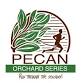 16th Annual Pecan Classic 5K & 10K event image