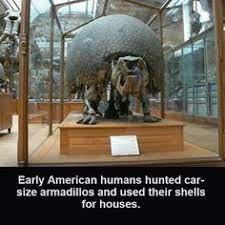 Ancient Hunting Armadillo Eggs Armadillo Eggs Eggs Health Facts