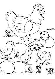 Picture Of Mother Chicken And Her Hungry Baby Coloring Page Coloring Sun Chicken Coloring Farm Animal Coloring Pages Chicken Coloring Pages