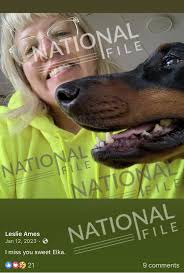 EXCLUSIVE: Viral Leftist TikToker Who Cheered Hurricanes and Tornadoes  Hitting 'White Trailer Courts' Identified