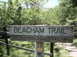 You and your pup can choose from three trails ranging in distance from.25 miles to 1.25 miles. Lake Leatherwood Beacham And Fuller Trails A Hiking We Will Go