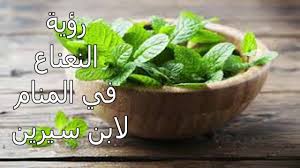 كما يدل رؤية الحطب في المنام على النميمة. ØªÙØ³ÙŠØ± Ø­Ù„Ù… Ø§Ù„Ù†Ø¹Ù†Ø§Ø¹