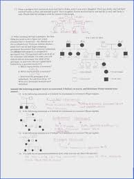 Pedigree Charts Worksheet S Best Picture Of Chart Anyimage Org