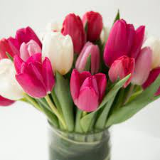 We did not find results for: Allan Woods Flowers Home Facebook