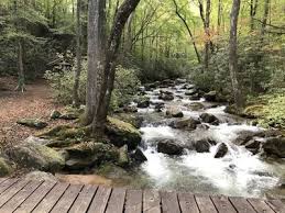 Check spelling or type a new query. Jones Gap Loop Hiking Trail Slater Marietta South Carolina
