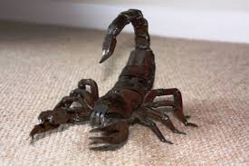 Recycling Basteln 20 Originelle Tier Und Insektenfiguren Altmetallkunst Metallskulptur Stahl Kunst