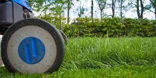 That's why the quiz is called how tall should you actually be. The First Cut When Should I Mow The Grass People Blog