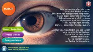 Sebutkan hubungan antara lingkungan hidup dan ekosistem. Alat Optik Mata Manusia Pour Android Telechargez L Apk