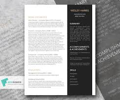 Academic career types vary widely. The Accomplished Academic Professional Resume Template For Researchers Freesumes