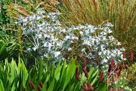 This website provides best garden design inspiration in melbourne. Gartendesign Inspiration Magazin Fur Gartengestaltung