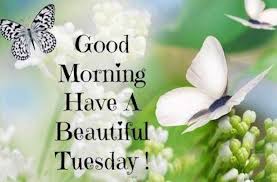 1) morning people 2) people who want to shoot morning people. Tuesday Morning Inspirational Work Quotes Good Morning Tuesday Happy Tuesday Messages Sayings Images Dogtrainingobedienceschool Com