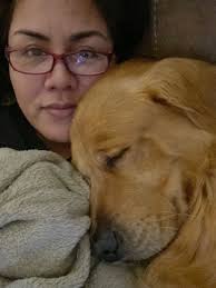 What are some reputable golden retriever breeders in Georgia, Tennessee,  South Carolina, or North Carolina?