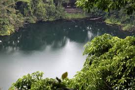 Check spelling or type a new query. Hutan Simpanan Bukit Timah Wikipedia Bahasa Melayu Ensiklopedia Bebas