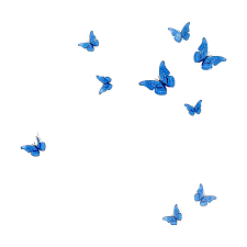 One of the color seen in butterflies is the color 'blue'. Flying Blue Butterflies Png Hd Photo Png Arts