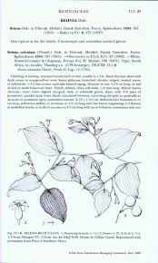 Image result for Behniaceae