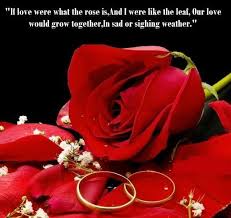 Rose Day 2019 In Hindi Red Rose Pictures Rose Flower Quotes Red Roses Quotes
