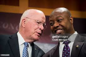 146 Tim Leahy Stock Photos, High-Res Pictures, and Images