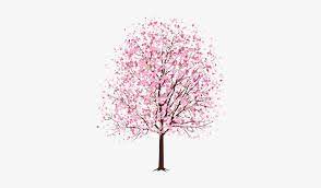 We have chosen to paint with watercolors because the soft colors perfectly match the delicacy of the cherry blossoms. Art Tree Trees Pink Cherry Blossom Transparent Cherry Cherry Blossom Tree Drawing Transparent Png 329x407 Free Download On Nicepng