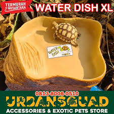 Sulcata tortoises will drink standing water out of a water bowl. Water Dish Crystallee Size Xl Reptile Sulcata Pardalis Aldabra Termurah 24 5x19x4 Shopee Indonesia