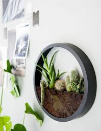 Kleines Terrarium Mit Grunen Pflanzen Und Viele Fotos Als Wanddeko Wand Foto Diy Wanduhren Wohnzimmer Pflanzen
