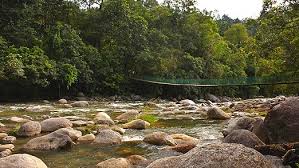 Kuala woh recreational forest in tapah is known as hutan lipur kuala woh in bahasa melayu and is a popular camp site and picnic areas for the sungai batang padang river flows through this recreational forest throughout the year. Kuala Woh Recreational Forest Tapah Perak Tourist Attractions