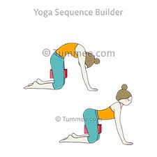 Cat Cow Pose Block Thighs Yoga Bitilasana Marjaryasana Block Thighs Yoga Sequences Benefits Variations And Sanskrit Pronunciation Tummee Com