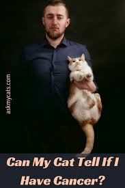 It may be harder to spot the fleas since they hop on to the cat to feed and hop off again, so they only temporarily appear. Do Cats Know When You Are Sick How Do They Know