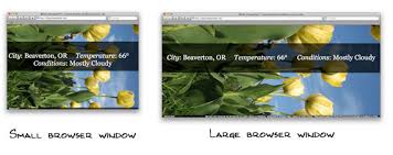 How To Resizeable Background Image Css Tricks The cover value tells the browser the technique will work without this. resizeable background image css tricks