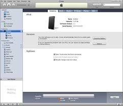 Download ios (ipsw) jailbreak tools. How To Unlock Ipod Touch Without Password 2021 Updated